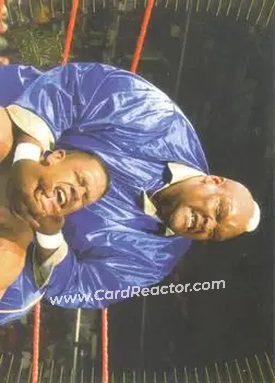 2007 Topps Action WWE #23 - Viscera - Front