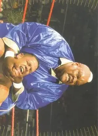 2007 Topps Action WWE #23 Viscera