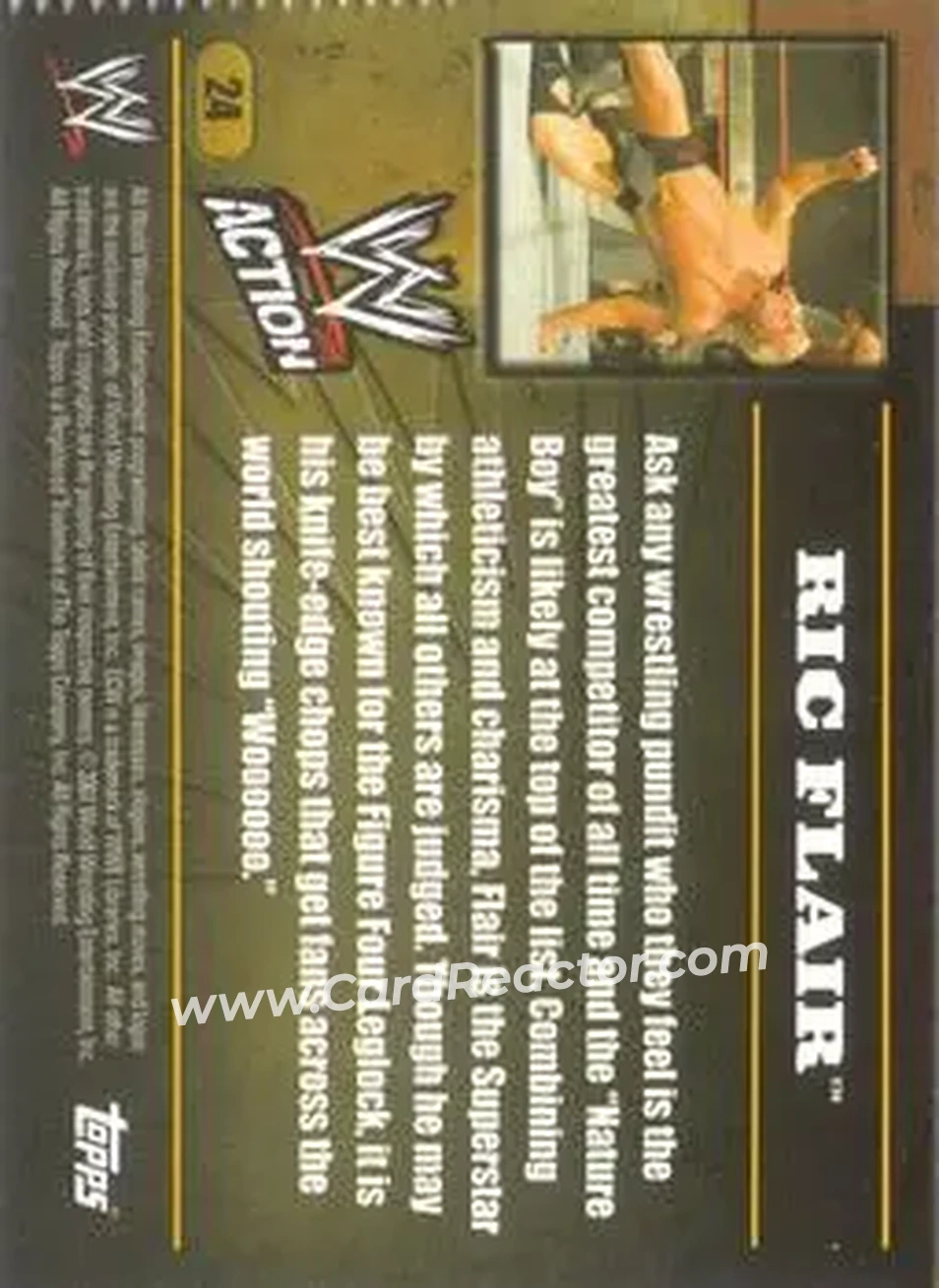 2007 Topps Action WWE #24 - Ric Flair - Back