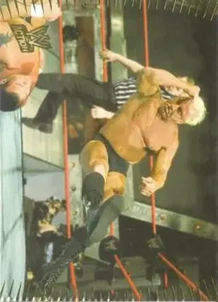 2007 Topps Action WWE #24 Ric Flair