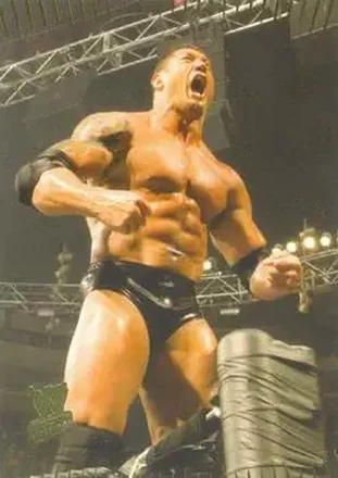 2007 Topps Action WWE feature card