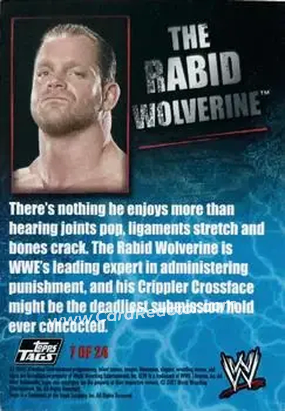 2007 Topps WWE Dog Tags Inserts #7 - Chris Benoit - Back