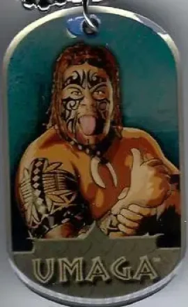 2007 Topps WWE Dog Tags Inserts feature card
