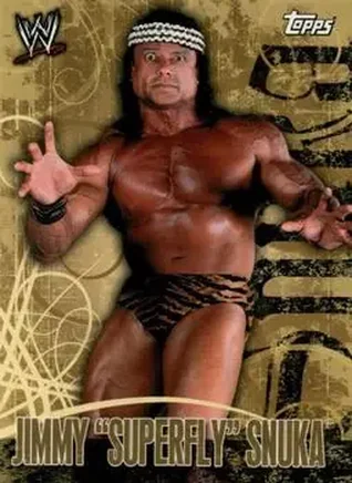 2007 Topps WWE Face-Off feature card