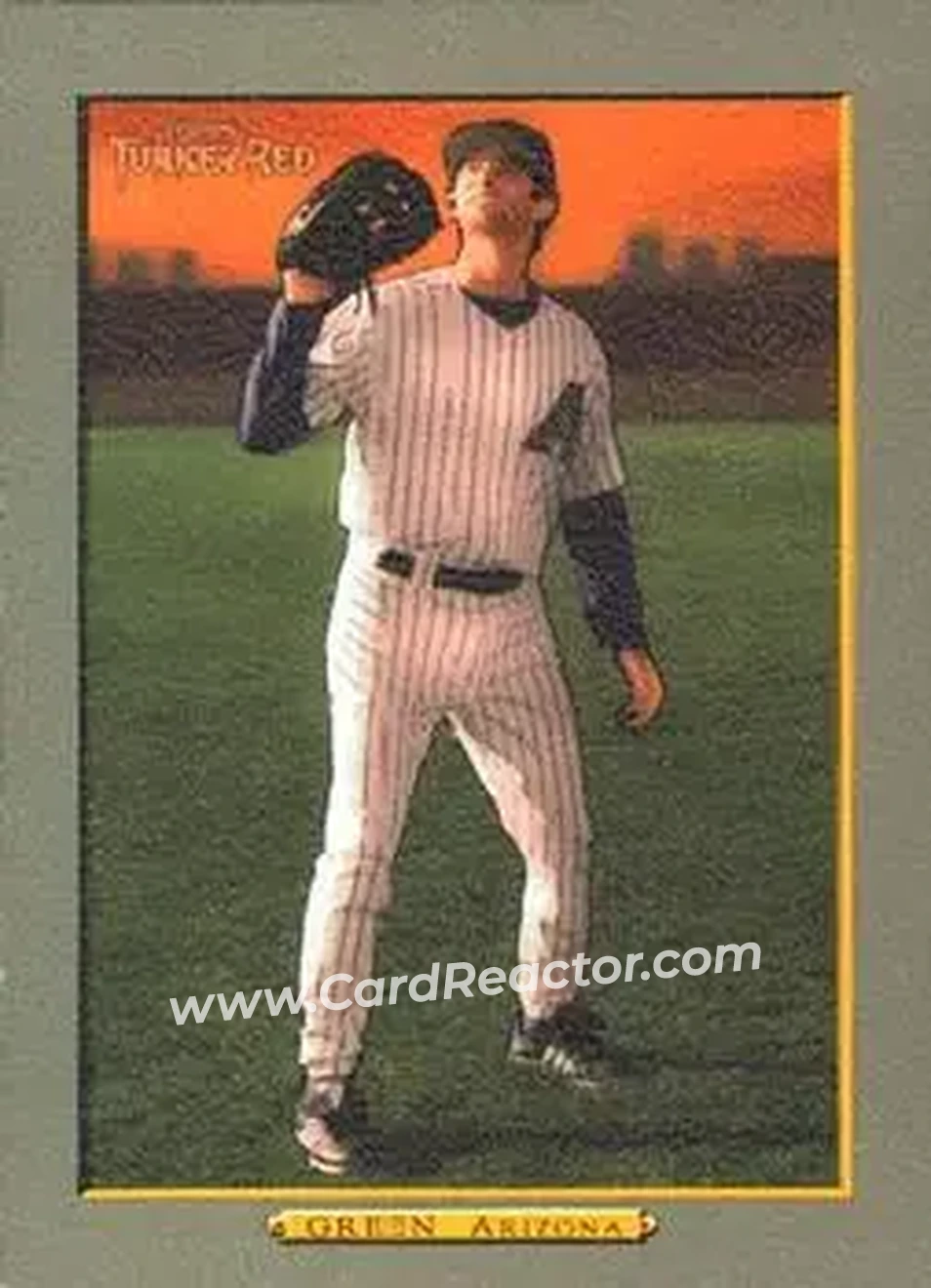 2006 Topps Turkey Red #318 - Shawn Green - Arizona Diamondbacks - Front 2006 Topps Turkey Red #318 - Shawn Green - Arizona Diamondbacks - Front