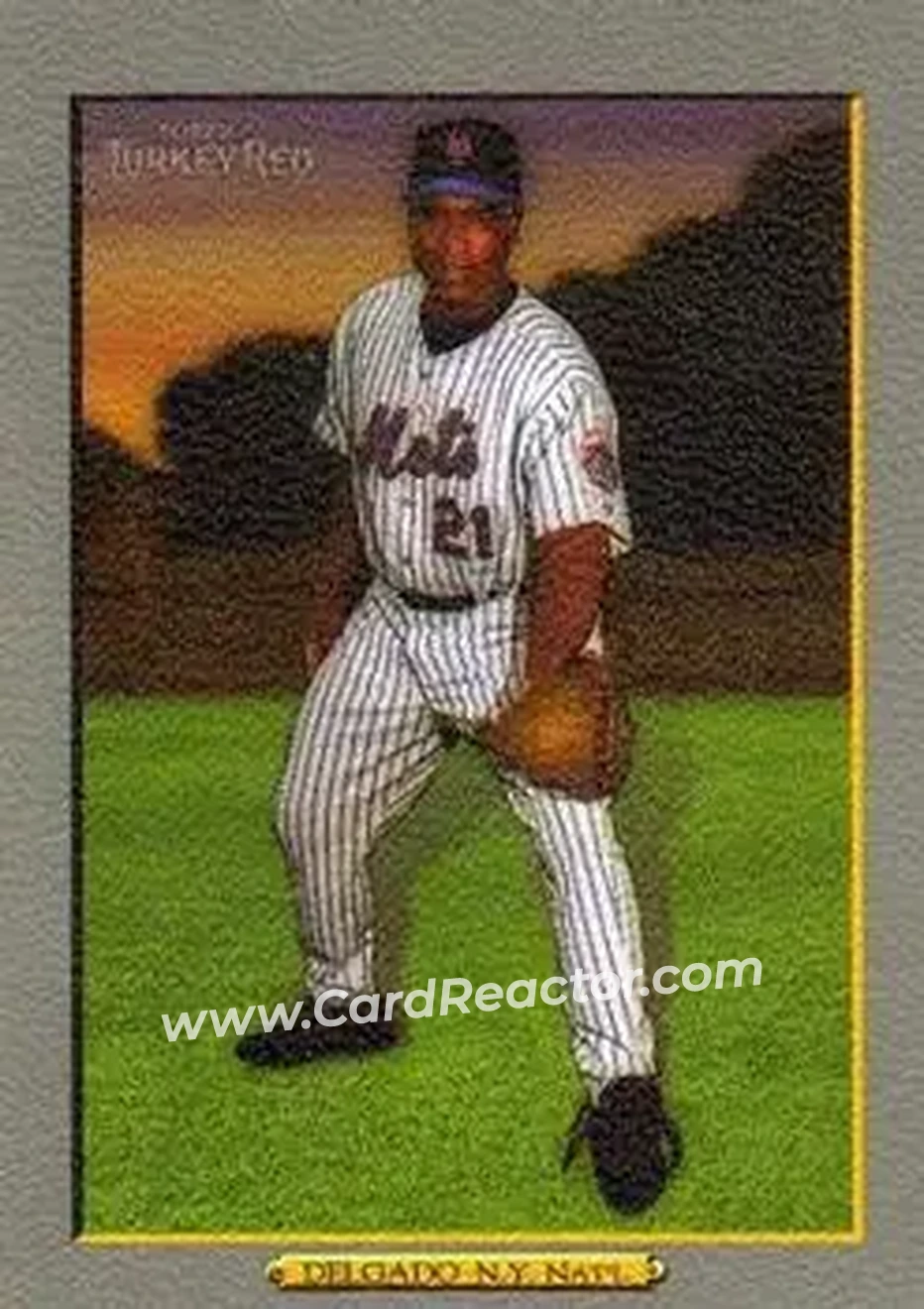2006 Topps Turkey Red #339 - Carlos Delgado - New York Mets - Front 2006 Topps Turkey Red #339 - Carlos Delgado - New York Mets - Front