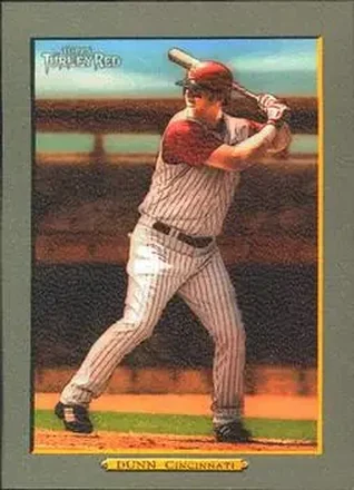 Adam Dunn · 2006 Topps Turkey Red #355