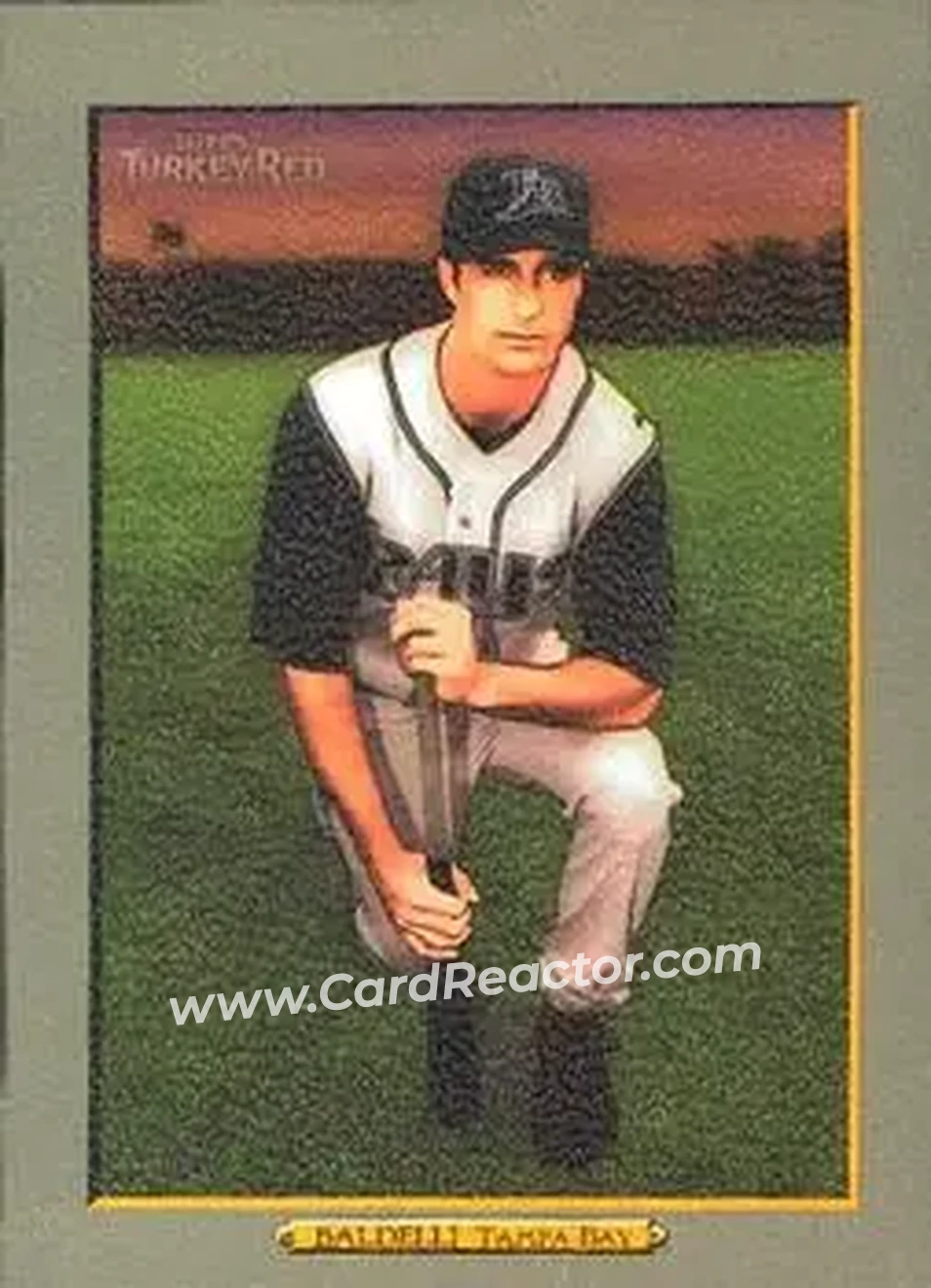 2006 Topps Turkey Red #354 - Rocco Baldelli - Tampa Bay Devil Rays - Front
