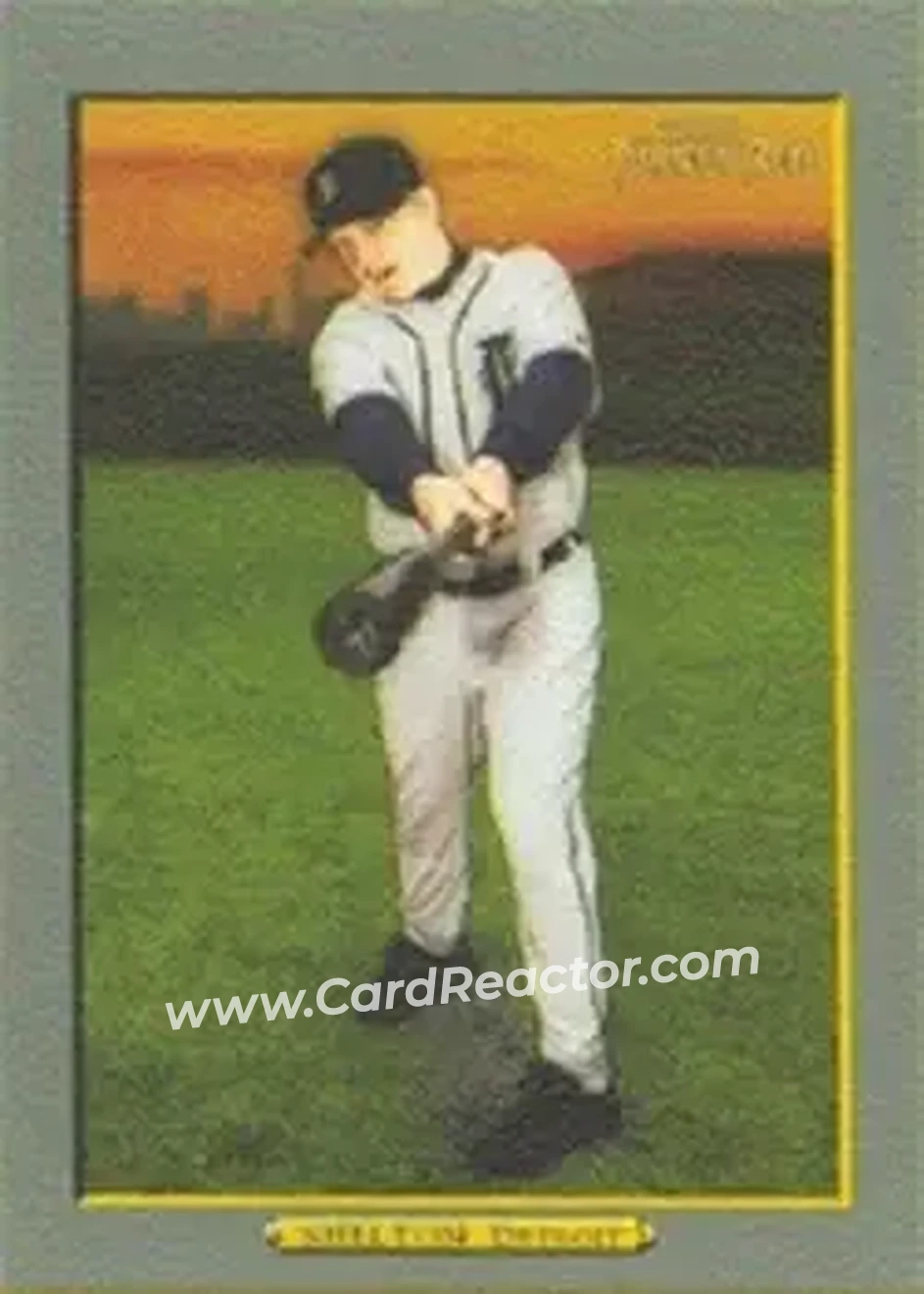 2006 Topps Turkey Red #357 - Chris Shelton - Detroit Tigers - Front 2006 Topps Turkey Red #357 - Chris Shelton - Detroit Tigers - Front