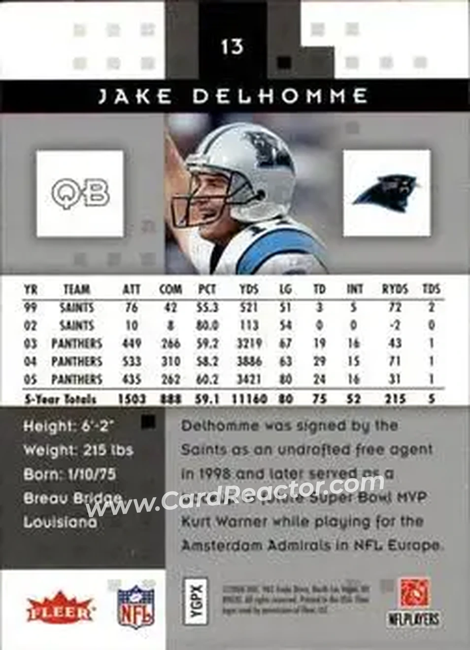 2006 Fleer Hot Prospects #13 - Jake Delhomme - Carolina Panthers - Back