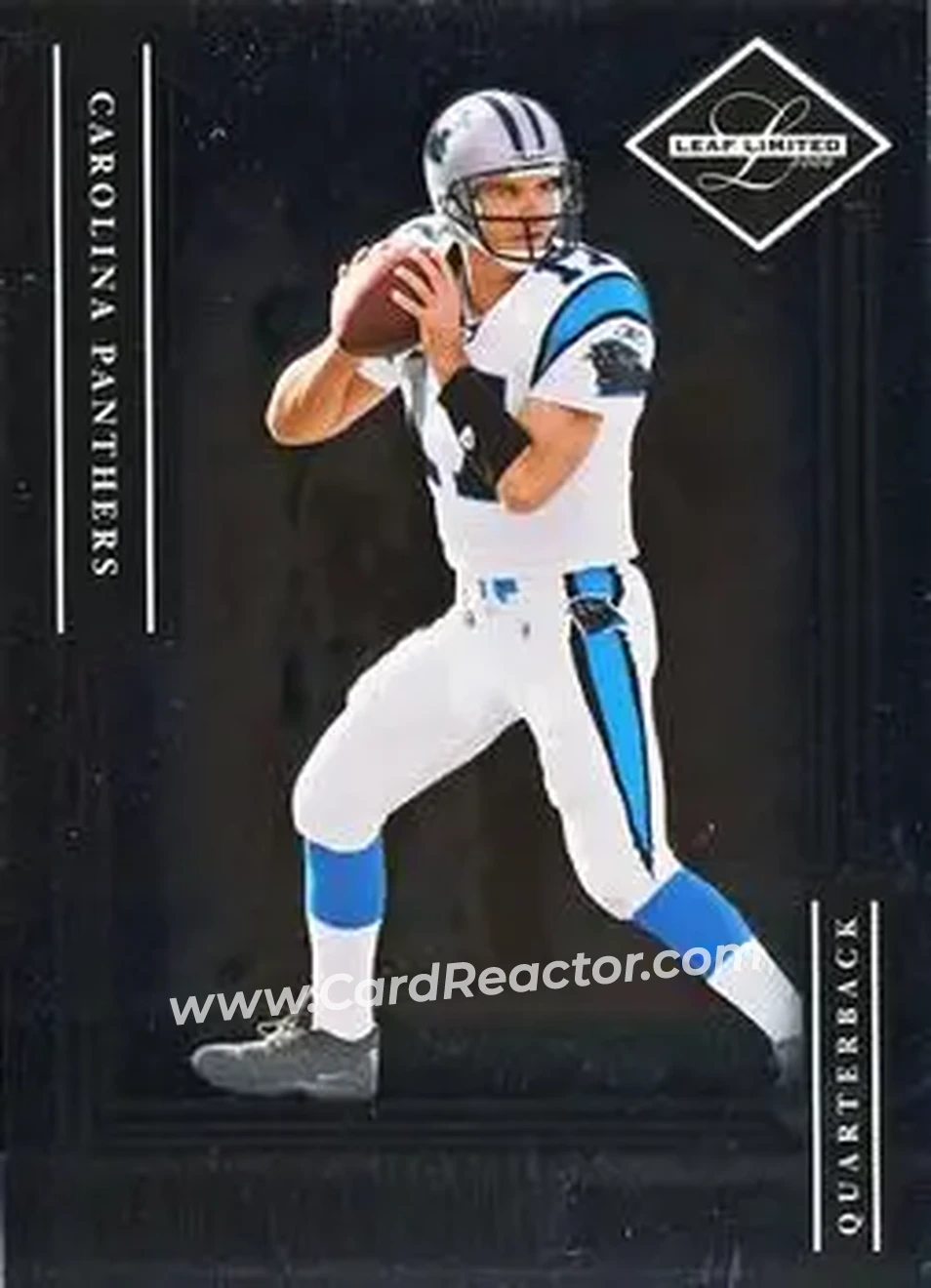 2006 Leaf Limited #74 - Jake Delhomme - Carolina Panthers - Front