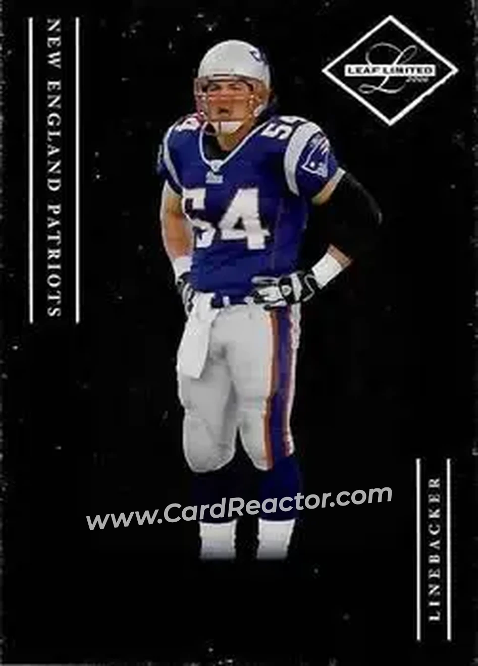 2006 Leaf Limited #79 - Tedy Bruschi - New England Patriots - Front