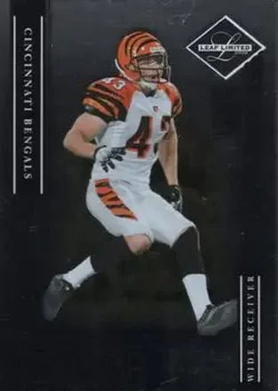 2006 Leaf Limited feature card