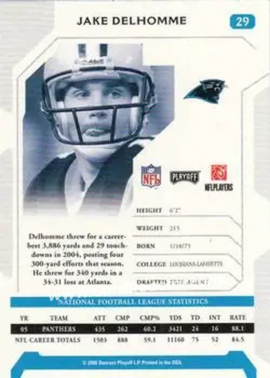 2006 Playoff NFL Playoffs #29 - Jake Delhomme - Carolina Panthers - Back