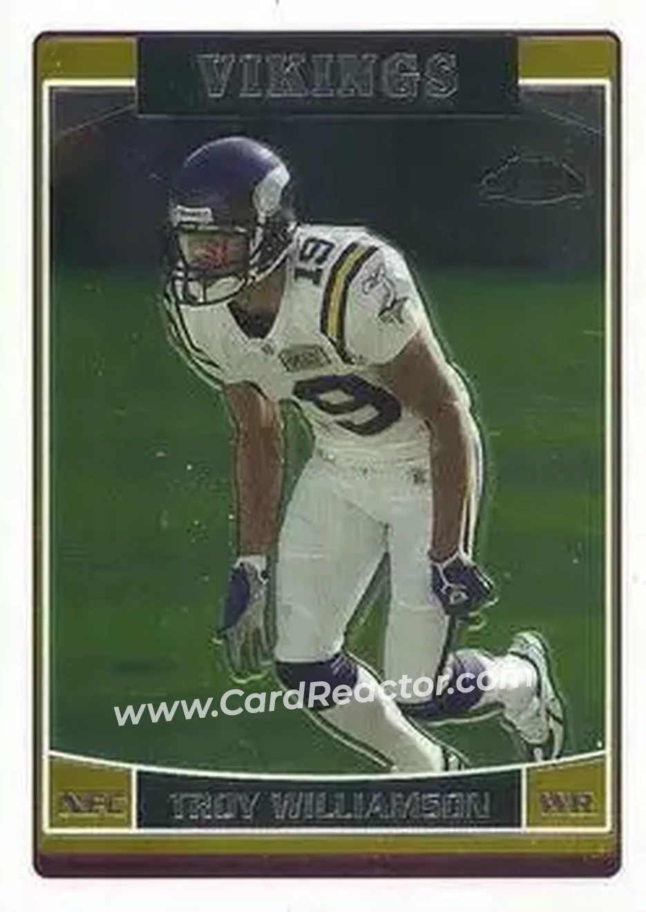 2006 Topps Chrome #20 - Troy Williamson - Minnesota Vikings - Front