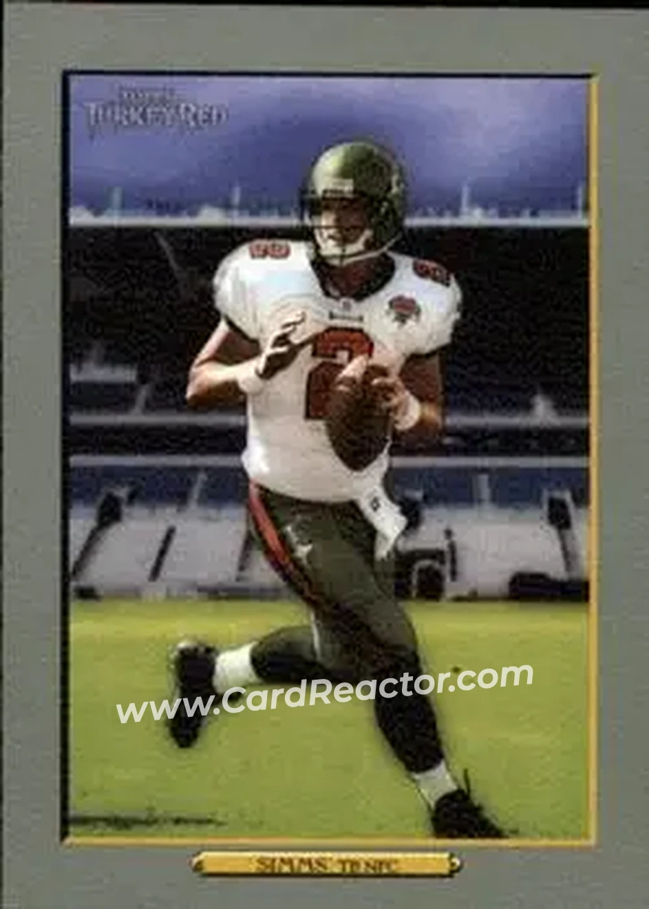 2006 Topps Turkey Red #17 - Chris Simms - Tampa Bay Buccaneers