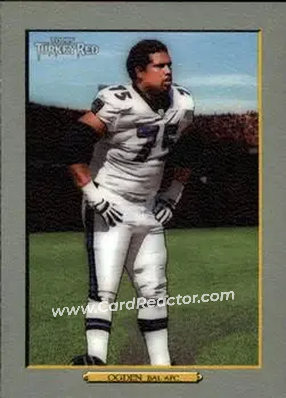 2006 Topps Turkey Red #19 - Jonathan Ogden - Baltimore Ravens - Front