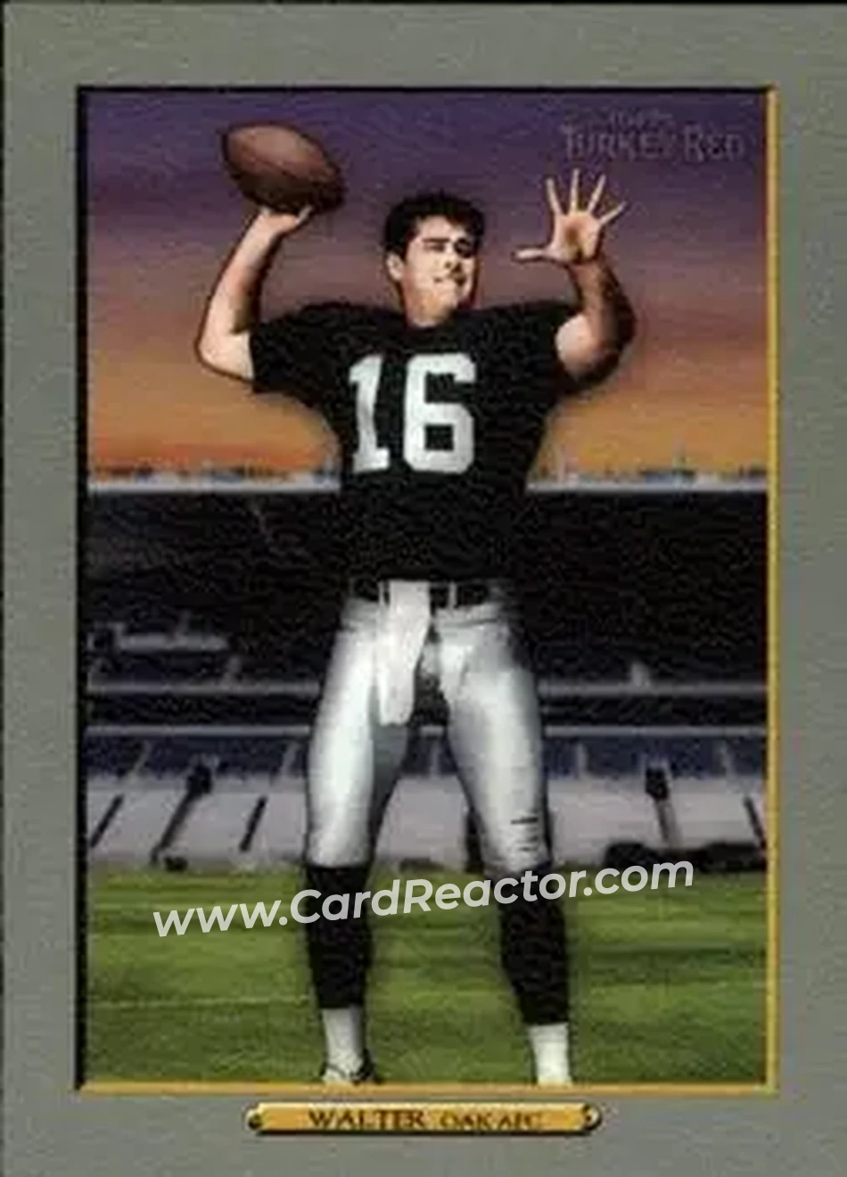 2006 Topps Turkey Red #20 - Andrew Walter - Oakland Raiders