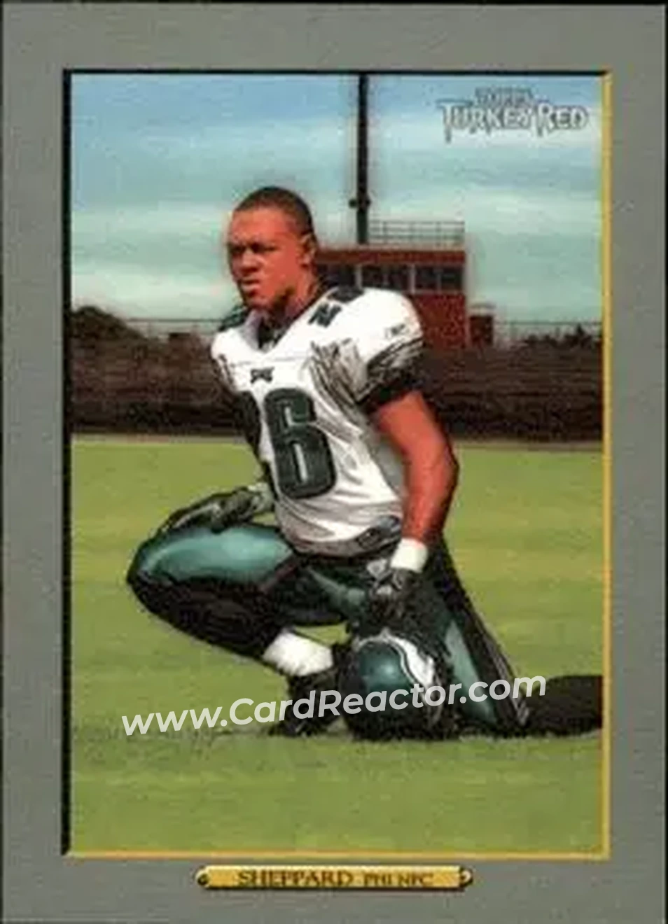 2006 Topps Turkey Red #21 - Lito Sheppard - Philadelphia Eagles - Front