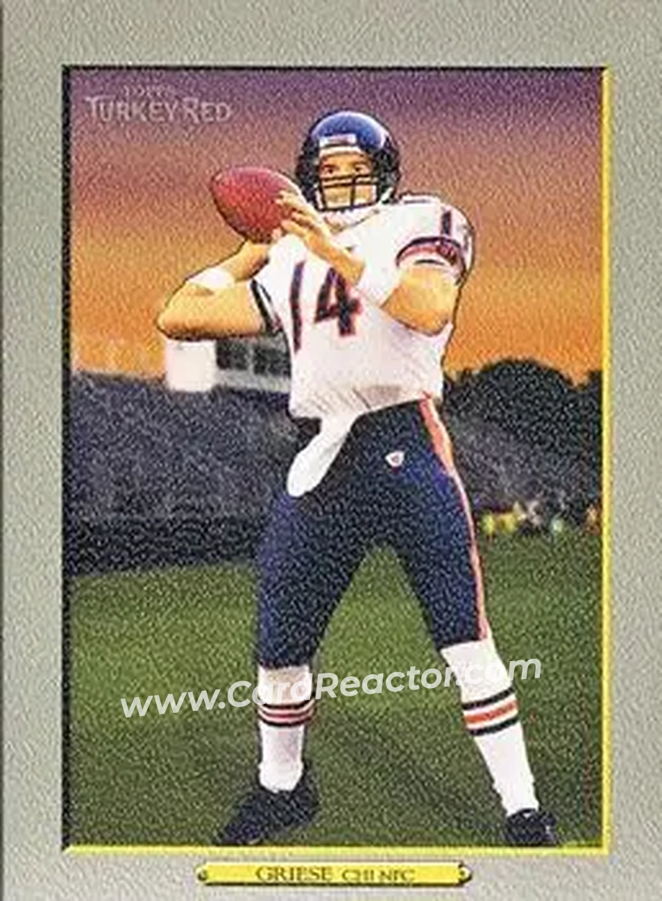 2006 Topps Turkey Red #30 - Brian Griese - Chicago Bears - Front