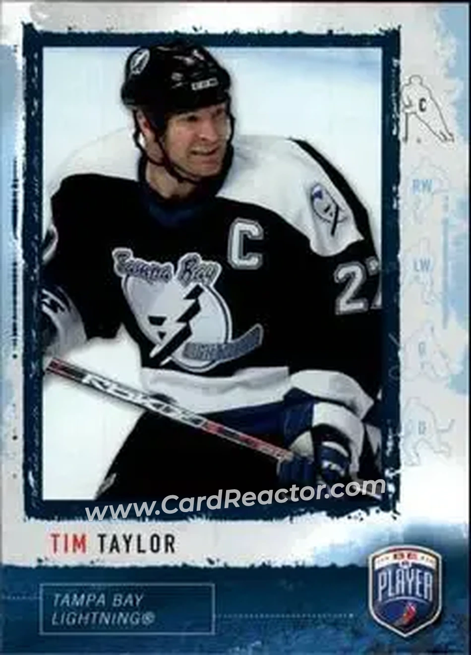2006-07 Be A Player #25 - Tim Taylor - Tampa Bay Lightning - Front