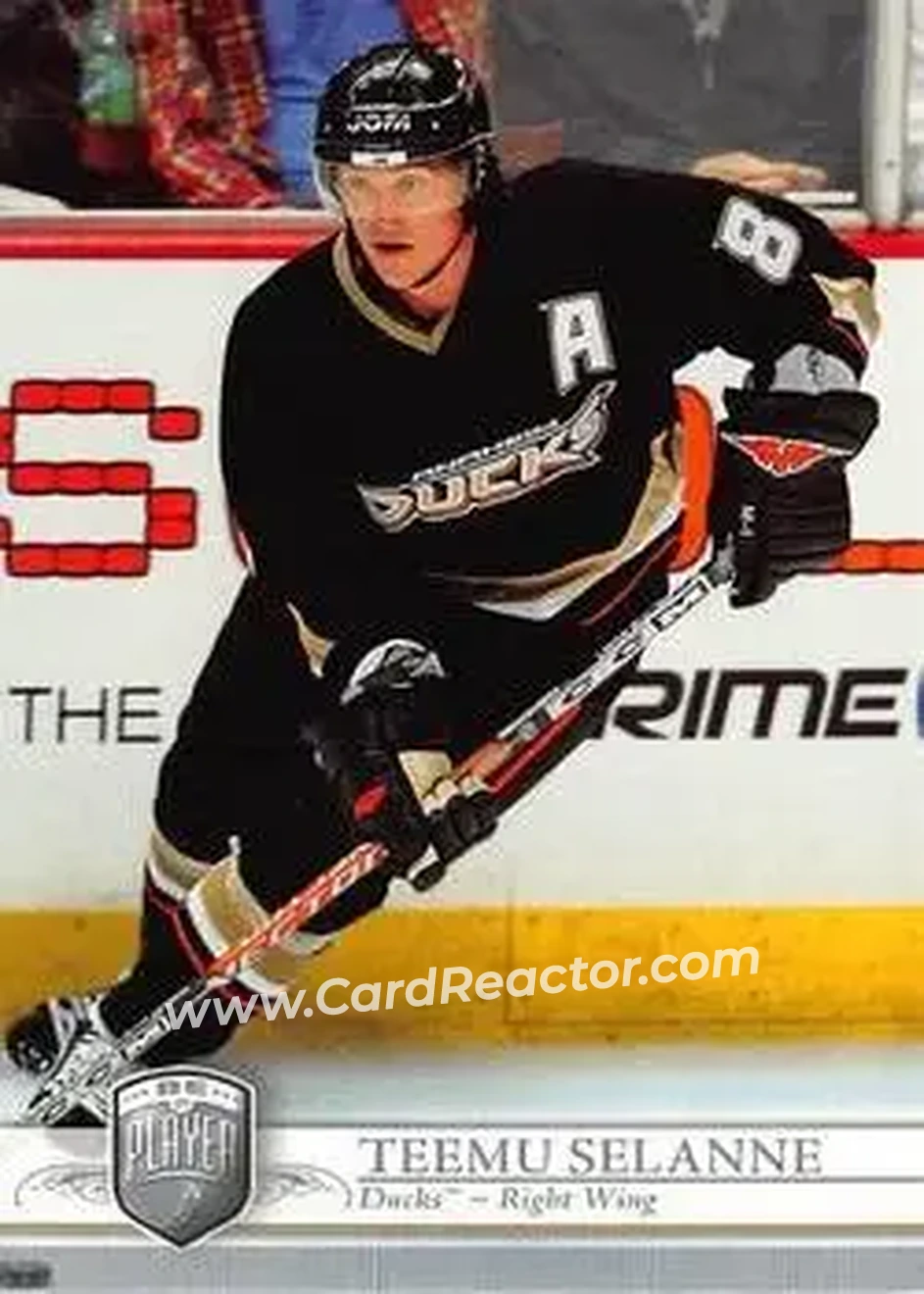 2006-07 Be A Player Portraits #3 - Teemu Selanne - Anaheim Ducks - Front 2006-07 Be A Player Portraits #3 - Teemu Selanne - Anaheim Ducks - Front