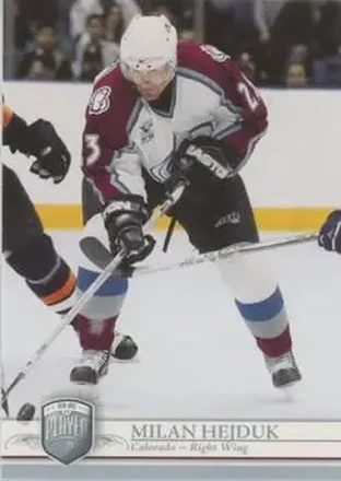 2006-07 Be A Player Portraits #30 - Milan Hejduk - Colorado Avalanche