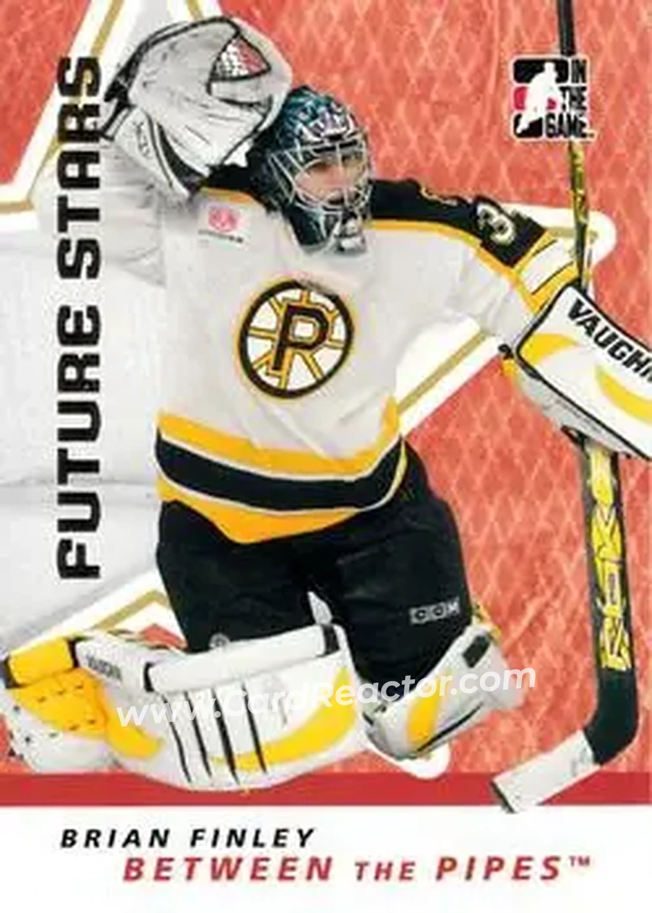 2006-07 In The Game Between The Pipes #6 - Brian Finley - Providence Bruins - Front 2006-07 In The Game Between The Pipes #6 - Brian Finley - Providence Bruins - Front