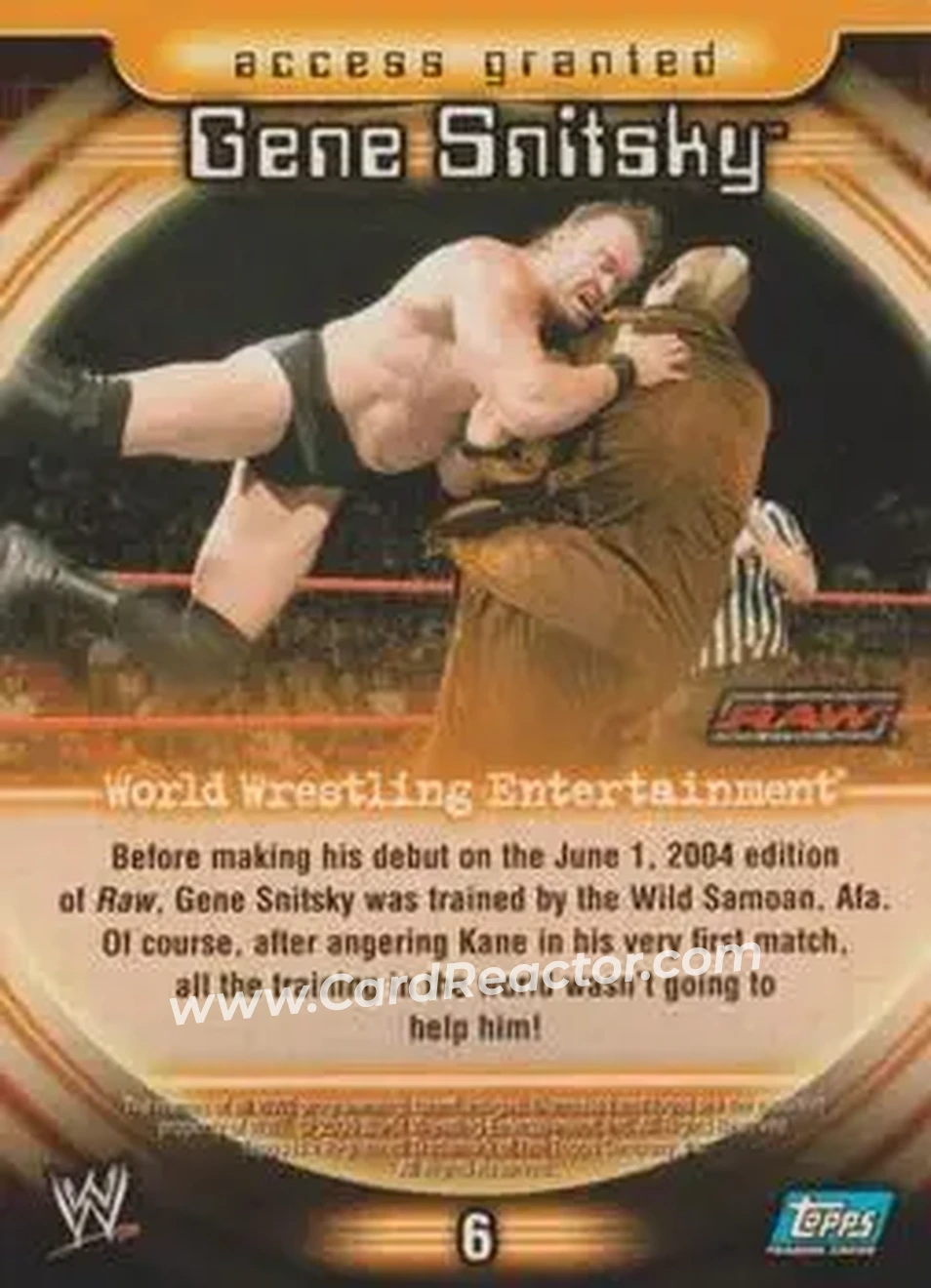 2006 Topps WWE Insider #6 - Snitsky - Back