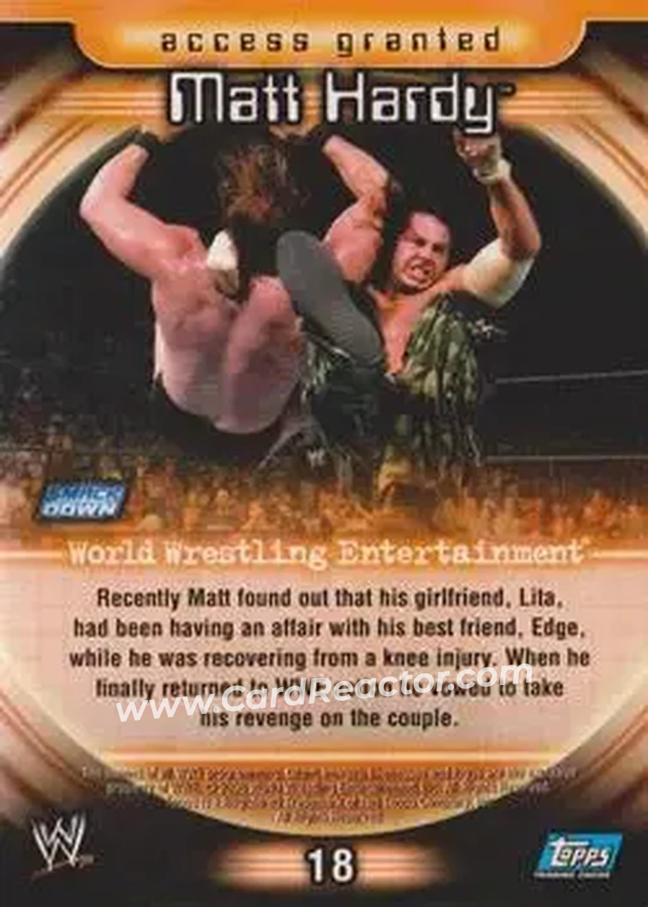 2006 Topps WWE Insider #18 - Matt Hardy - Back