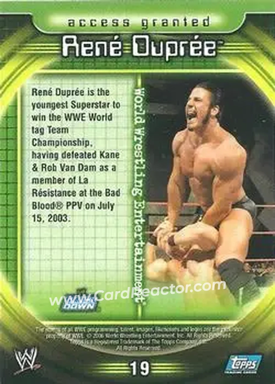 2006 Topps WWE Insider #19 - Rene Dupree - Back