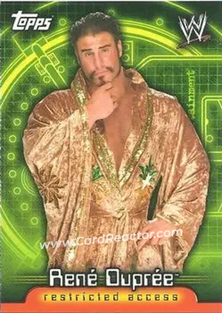2006 Topps WWE Insider #19 - Rene Dupree - Front