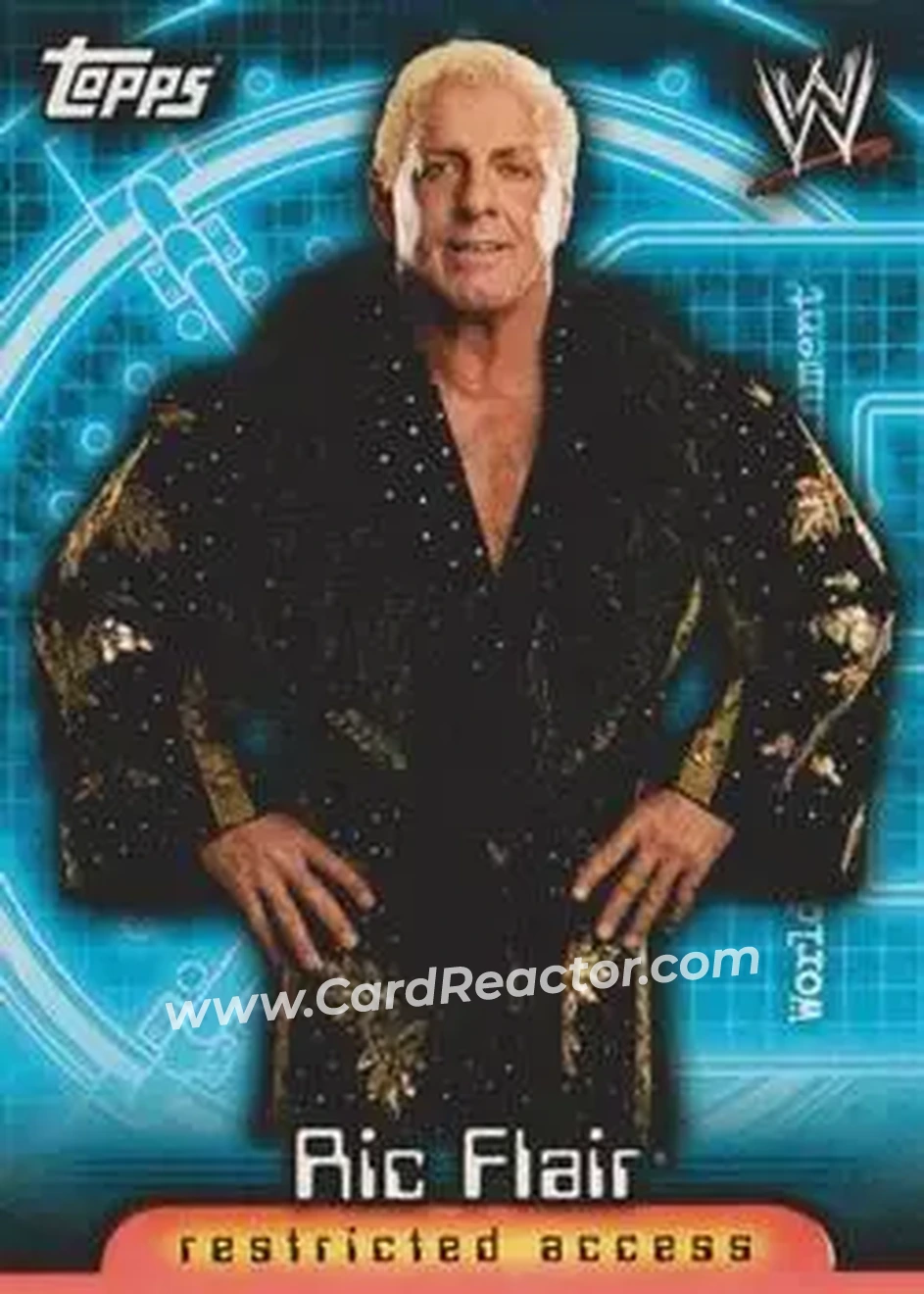 2006 Topps WWE Insider #20 - Ric Flair - Front