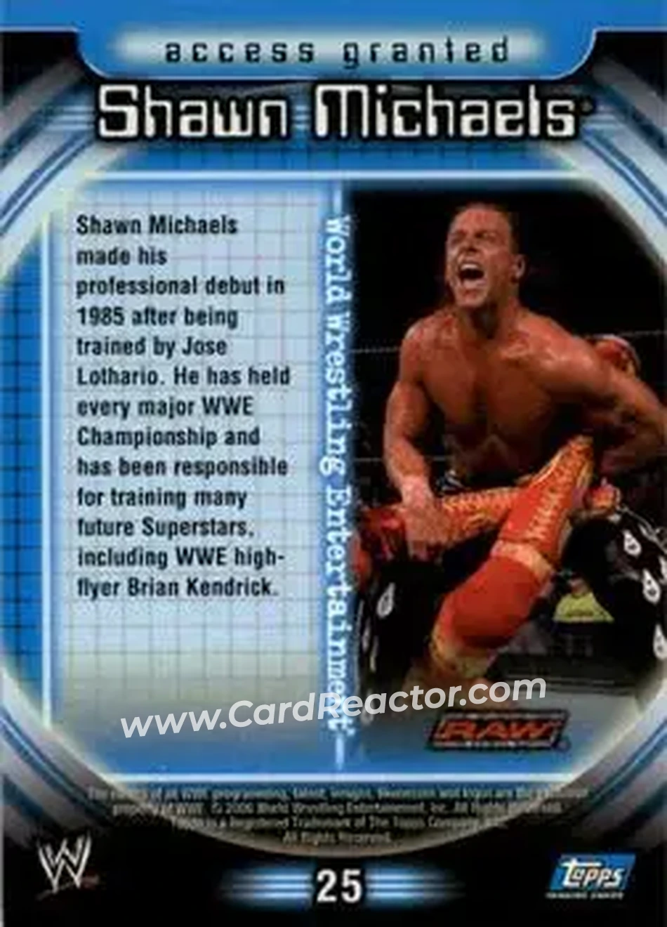 2006 Topps WWE Insider #25 - Shawn Michaels - Back