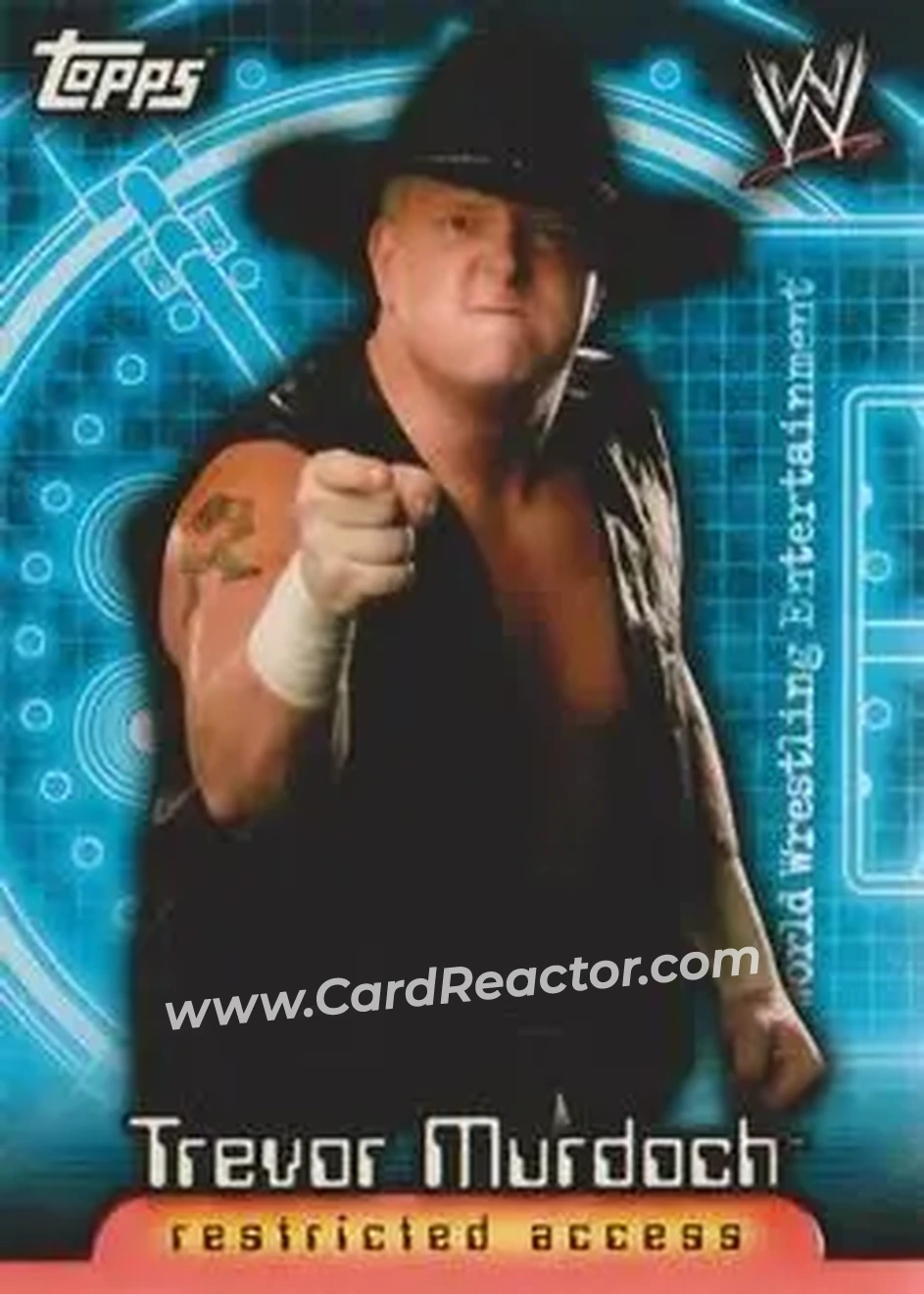 2006 Topps WWE Insider #30 - Trevor Murdock - Front