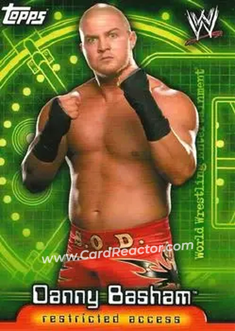2006 Topps WWE Insider English (UK) #6 - Danny Basham - Front