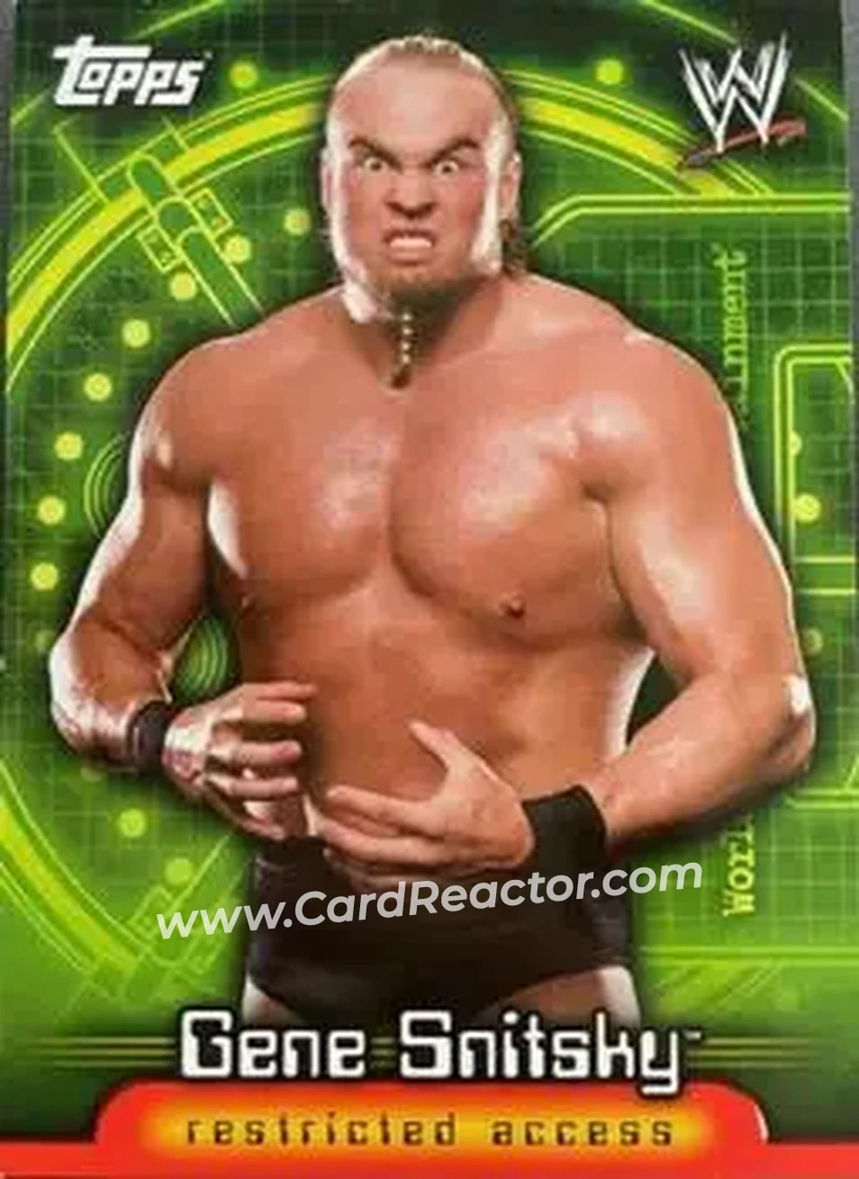 2006 Topps WWE Insider English (UK) #10 - Snitsky - Front