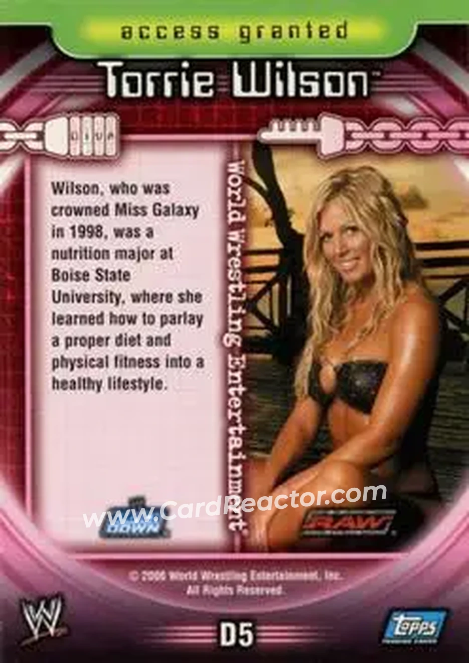 2006 Topps WWE Insider English (UK) - Divas #D5 - Torrie Wilson - Back