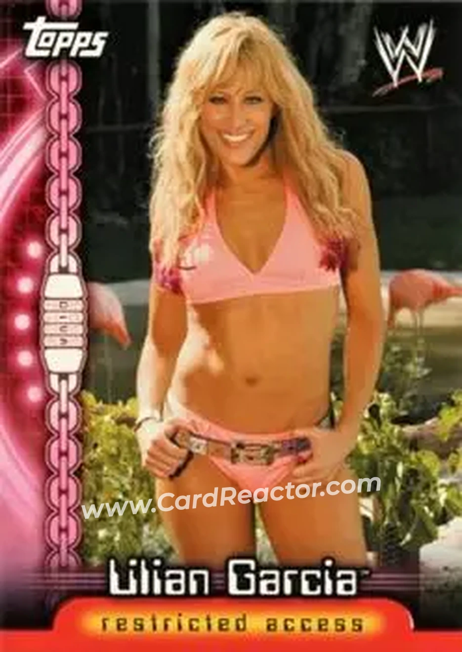 2006 Topps WWE Insider English (UK) - Divas #D8 - Lilian Garcia - Front