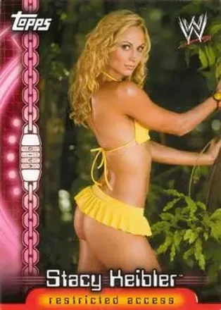 Stacy Keibler · 2006 Topps WWE Insider English (UK) #D11 · Divas