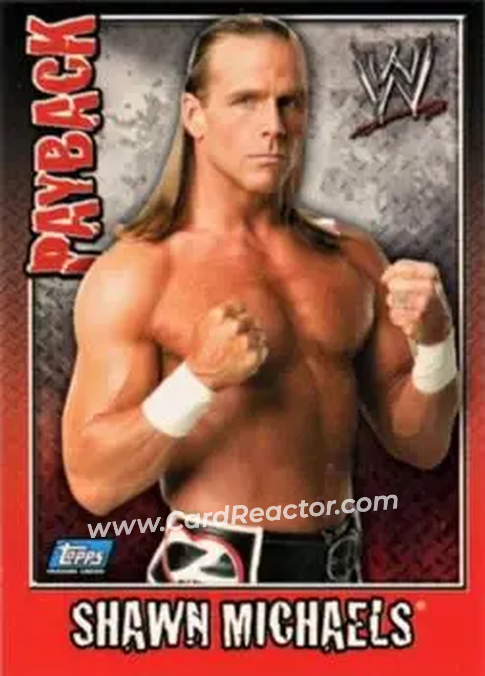 2006 Topps WWE Payback (English Edition) #1 - Shawn Michaels - Front