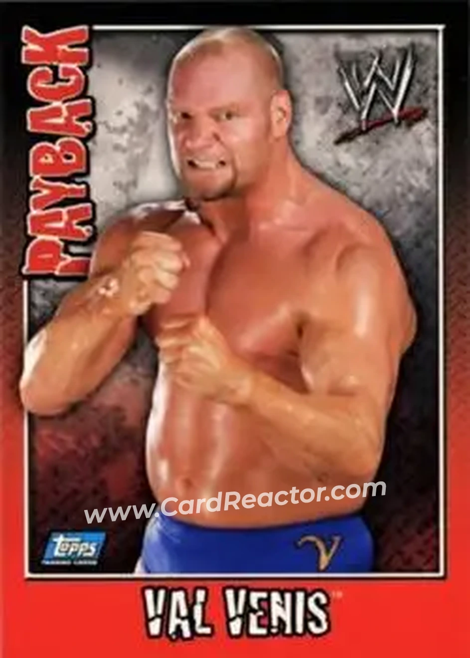 2006 Topps WWE Payback (English Edition) #6 - Val Venis - Front