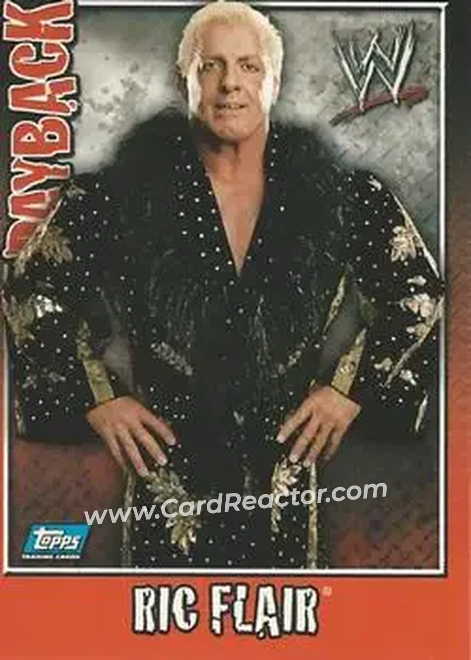 2006 Topps WWE Payback (English Edition) #16 - Ric Flair - Front