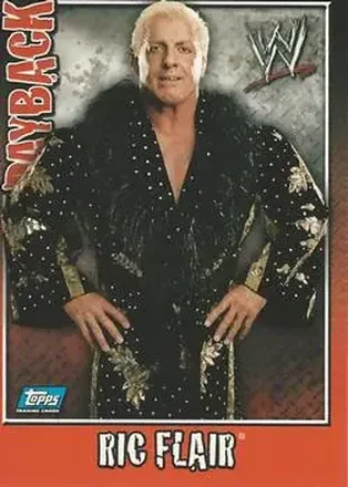 2006 Topps WWE Payback (English Edition) #16 - Ric Flair