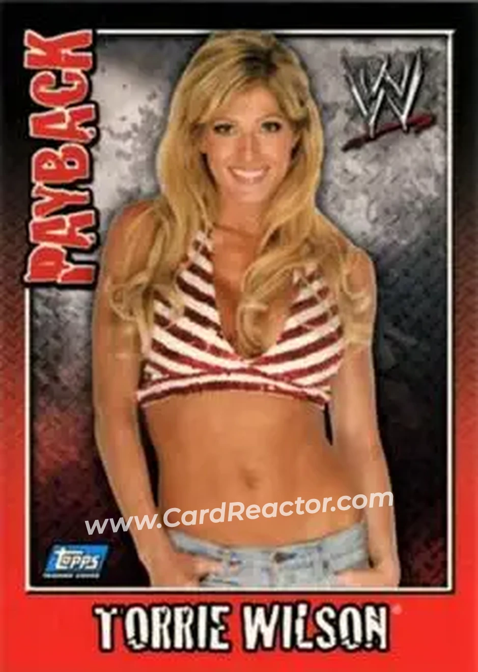 2006 Topps WWE Payback (English Edition) #22 - Torrie Wilson - Front