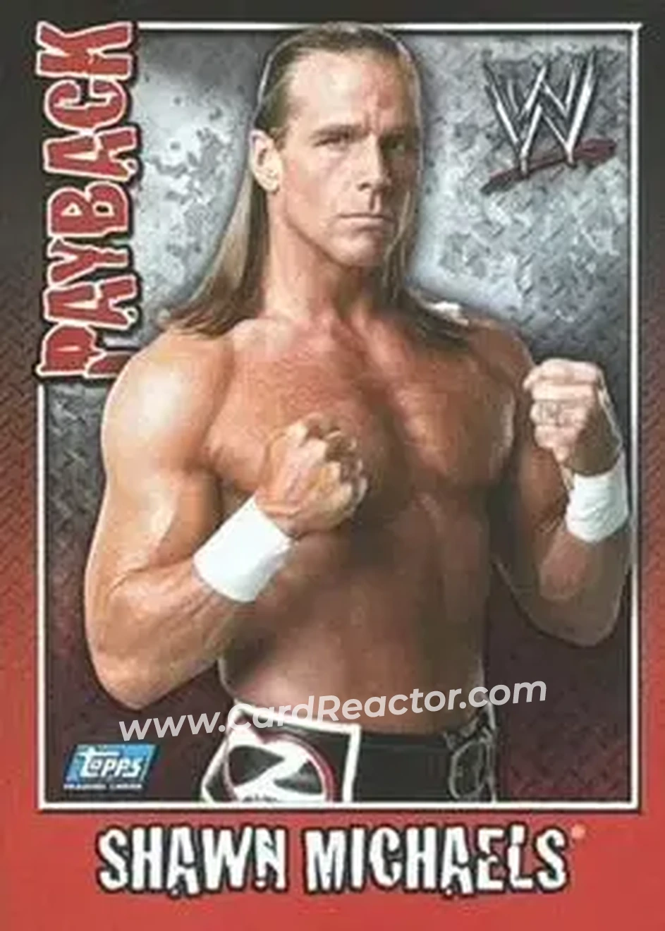 2006 Topps WWE Payback (German Edition) #1 - Shawn Michaels - Front