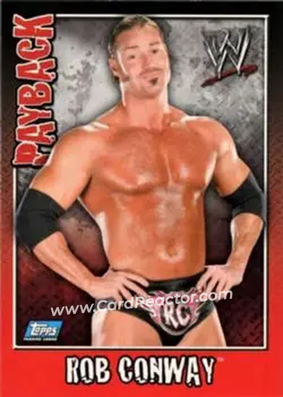 2006 Topps WWE Payback (German Edition) #12 - Rob Conway