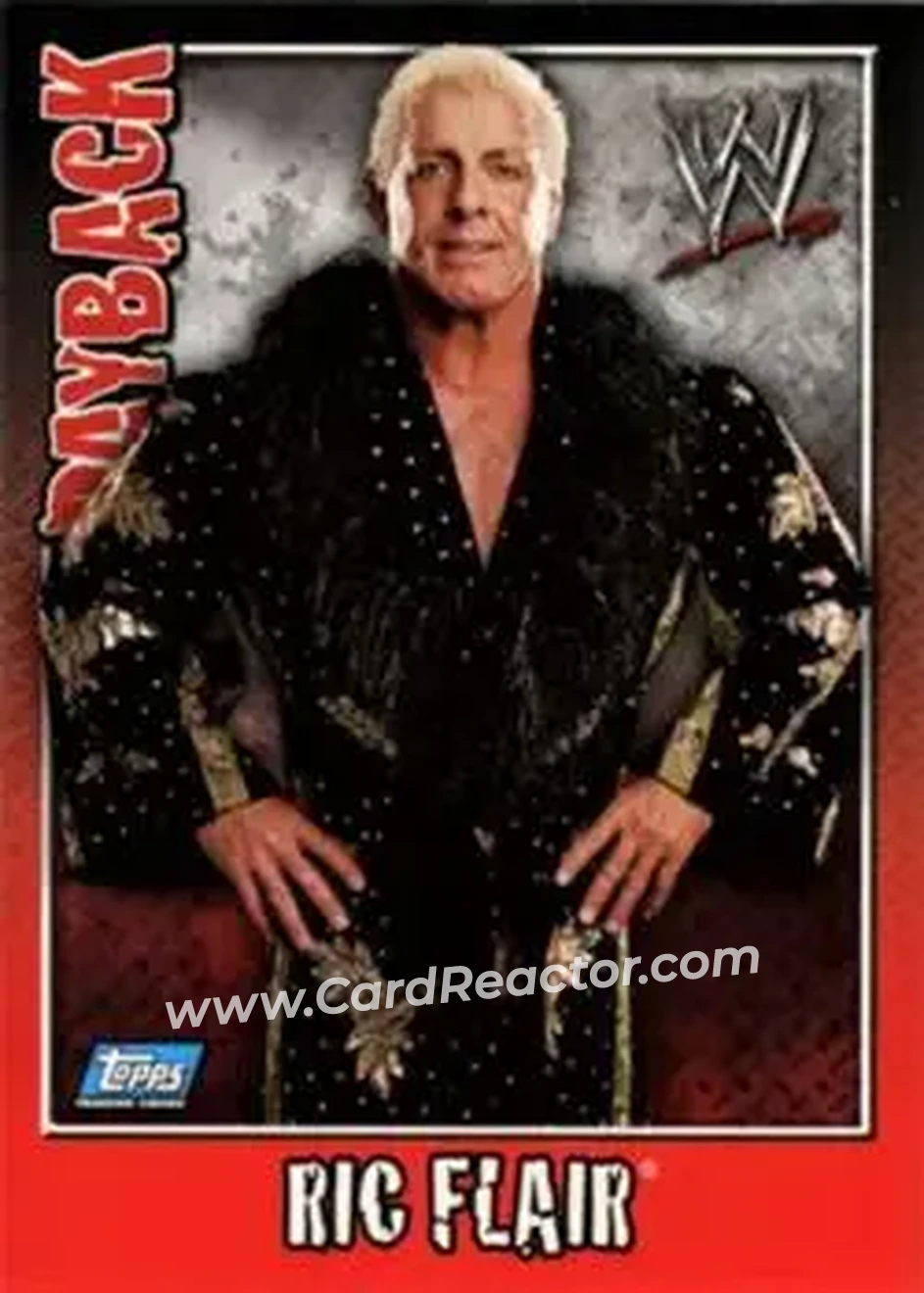 2006 Topps WWE Payback (German Edition) #16 - Ric Flair - Front