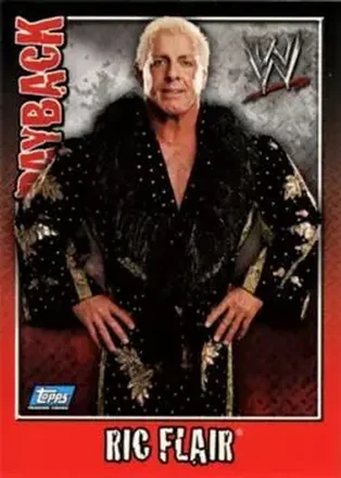 2006 Topps WWE Payback (German Edition) #16 - Ric Flair