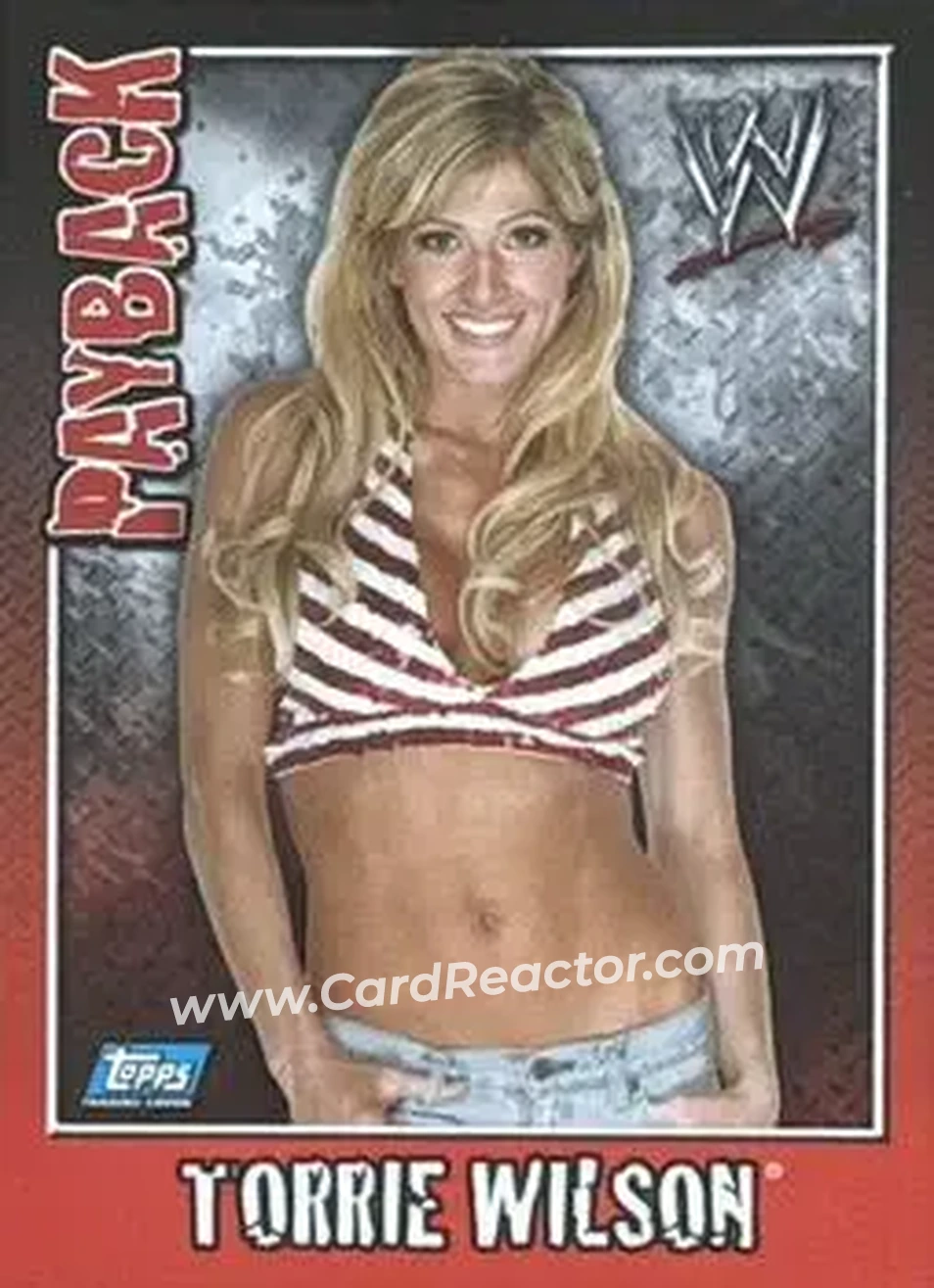 2006 Topps WWE Payback (German Edition) #22 - Torrie Wilson - Front